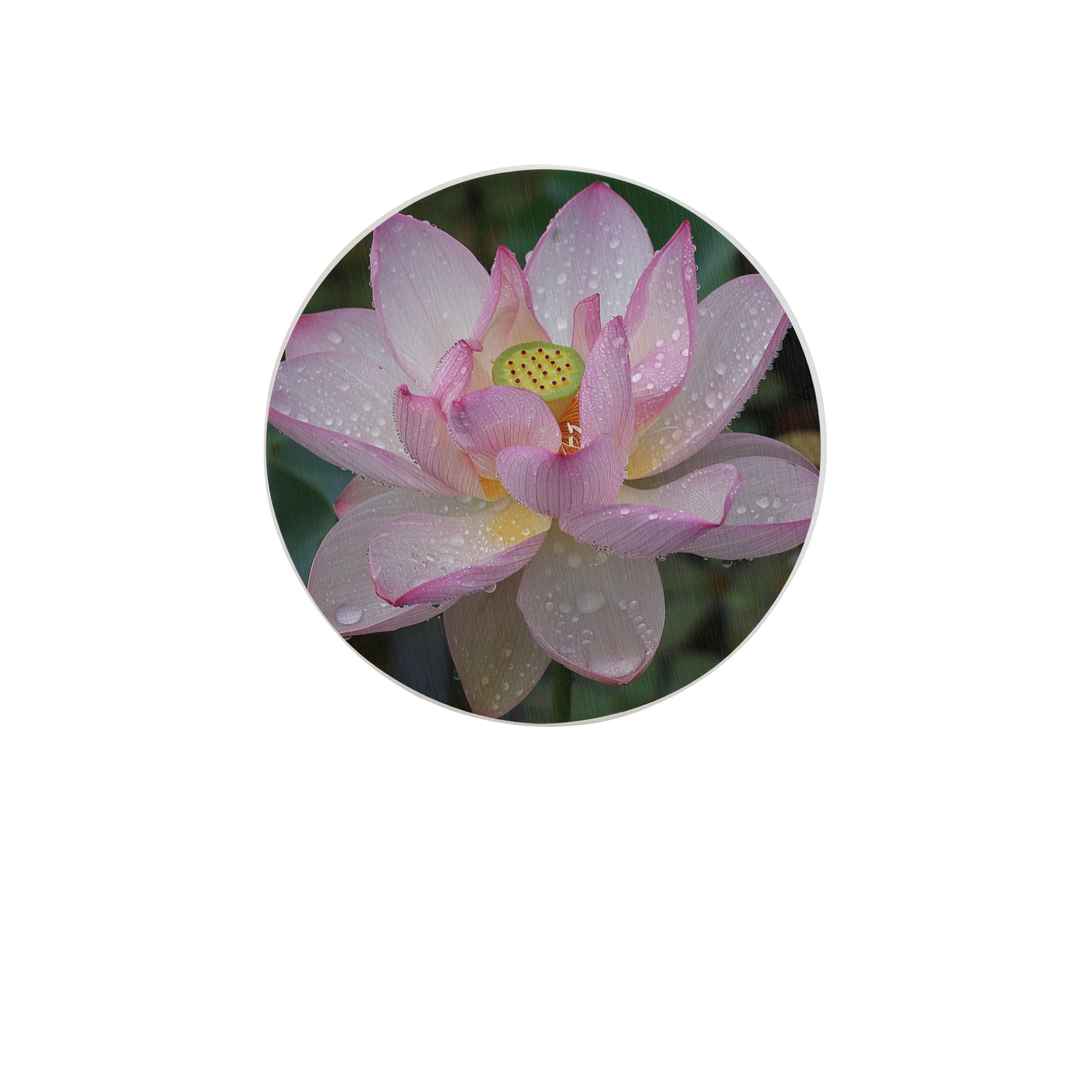 lotus-flower-pattern-round-ceramic-coaster